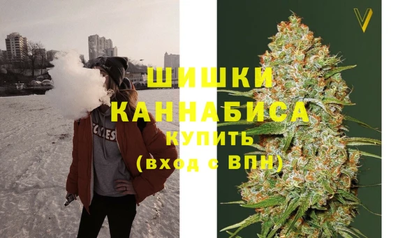 PSILOCYBIN Осташков